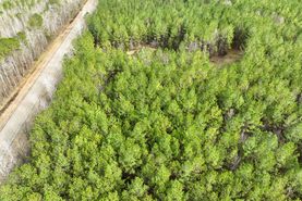 Recreational Property for sale in Montgomery County, Alabama
