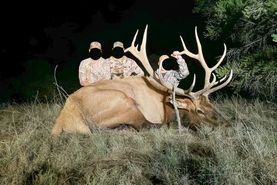 Ranch Property for sale in Catron County, New Mexico