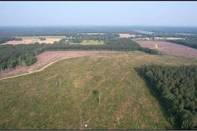 Undeveloped Land for sale in Rankin County, Mississippi