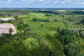 Timberland Property for sale in Wayne County, Georgia