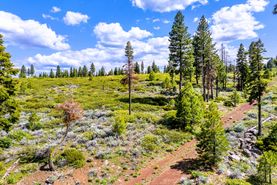 Undeveloped Land for sale in Modoc County, California