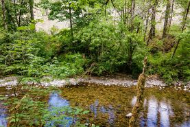 Property for sale in Lane County, Oregon