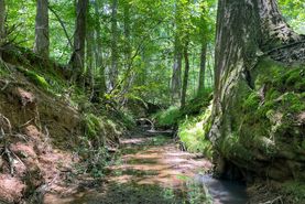 Recreational Property for sale in Hinds County, Mississippi