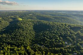 Timberland Property for sale in Barry County, Missouri
