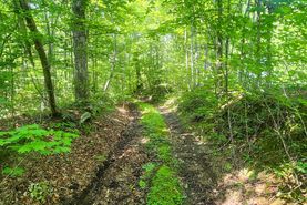 Recreational Property for sale in Scott County, Tennessee