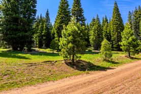 Undeveloped Land for sale in Modoc County, California