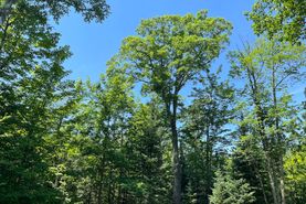 Property for sale in Douglas County, Wisconsin