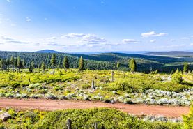 Undeveloped Land for sale in Modoc County, California