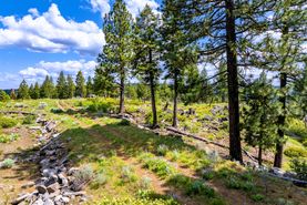 Undeveloped Land for sale in Modoc County, California