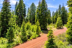 Undeveloped Land for sale in Modoc County, California