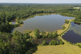 Hunting Land for sale in Butler County, Alabama
