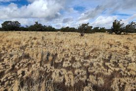 Ranch Property for sale in Apache County, Arizona