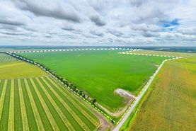 Property for sale in Madison Parish, Louisiana