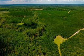 Property for sale in Effingham County, Georgia