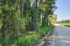 Undeveloped Land for sale in Camden County, Georgia