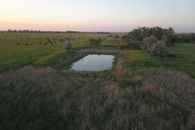 Property for sale in Spink County, South Dakota