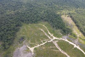 Undeveloped Land for sale in Scott County, Mississippi