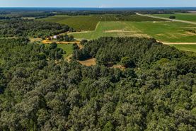 Recreational Property for sale in Taylor County, Georgia
