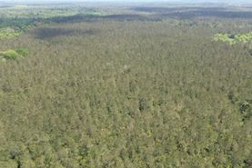 Property for sale in Livingston Parish, Louisiana