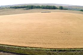 Ranch Property for sale in Tripp County, South Dakota