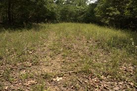 Undeveloped Land for sale in Clay County, Tennessee