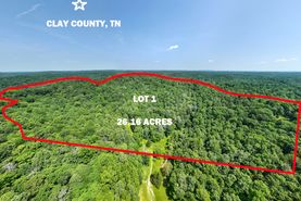 Undeveloped Land for sale in Clay County, Tennessee