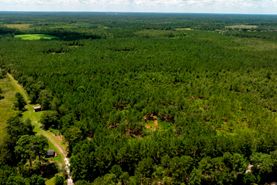 Undeveloped Land for sale in Bryan County, Georgia