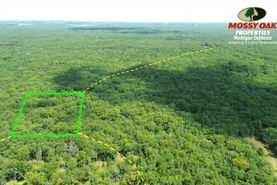 Undeveloped Land for sale in Oceana County, Michigan