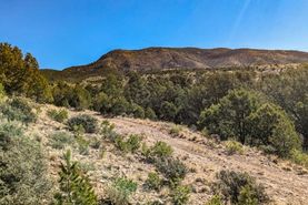 Undeveloped Land for sale in Otero County, New Mexico