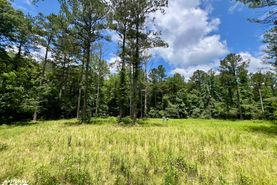 Property for sale in Monroe County, Alabama