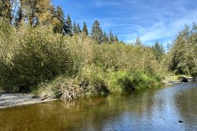 Undeveloped Land for sale in Snohomish County, Washington