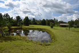 Property for sale in Dixie County, Florida