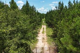 Recreational Property for sale in Worth County, Georgia