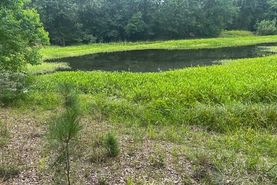 Undeveloped Land for sale in Grimes County, Texas