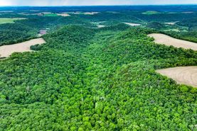 Hunting Land for sale in Houston County, Minnesota