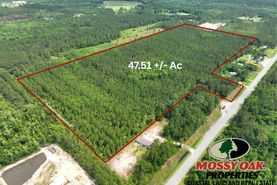 Timberland Property for sale in Wayne County, Georgia