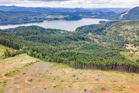Property for sale in Lane County, Oregon
