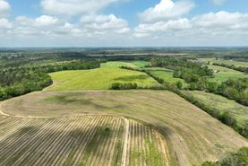 Property for sale in Houston County, Alabama