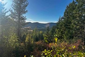 Hunting Land for sale in Stevens County, Washington