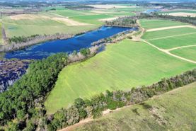 Hunting Land for sale in Baldwin County, Alabama