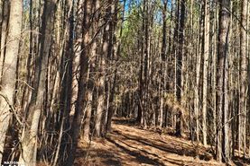 Timberland Property for sale in Fayette County, Alabama
