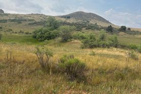 Property for sale in Larimer County, Colorado
