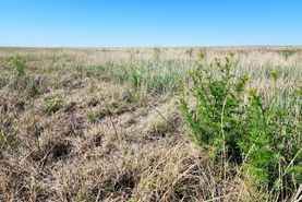 Ranch Property for sale in Kiowa County, Colorado