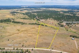 Undeveloped Land for sale in Custer County, South Dakota