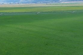 Farm Property for sale in Modoc County, California