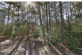 Undeveloped Land for sale in Montgomery County, Texas