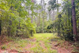 Undeveloped Land for sale in Chilton County, Alabama