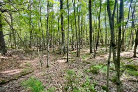 Undeveloped Land for sale in Clark County, Wisconsin