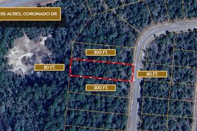 Undeveloped Land for sale in Washington County, Florida