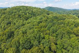 Undeveloped Land for sale in Hawkins County, Tennessee